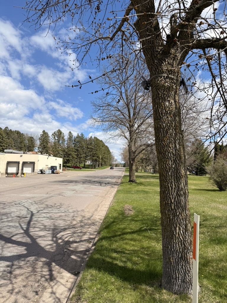 Trail camera and solar panel mounted on a tree immediately beside a street, too close to capture subjects across the full corridor