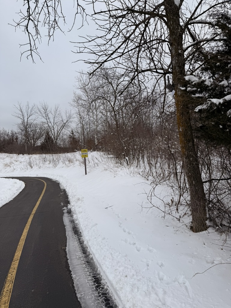 Paved winter trail with a Waypoint camera mounted high in a roadside tree, barely visible from the path