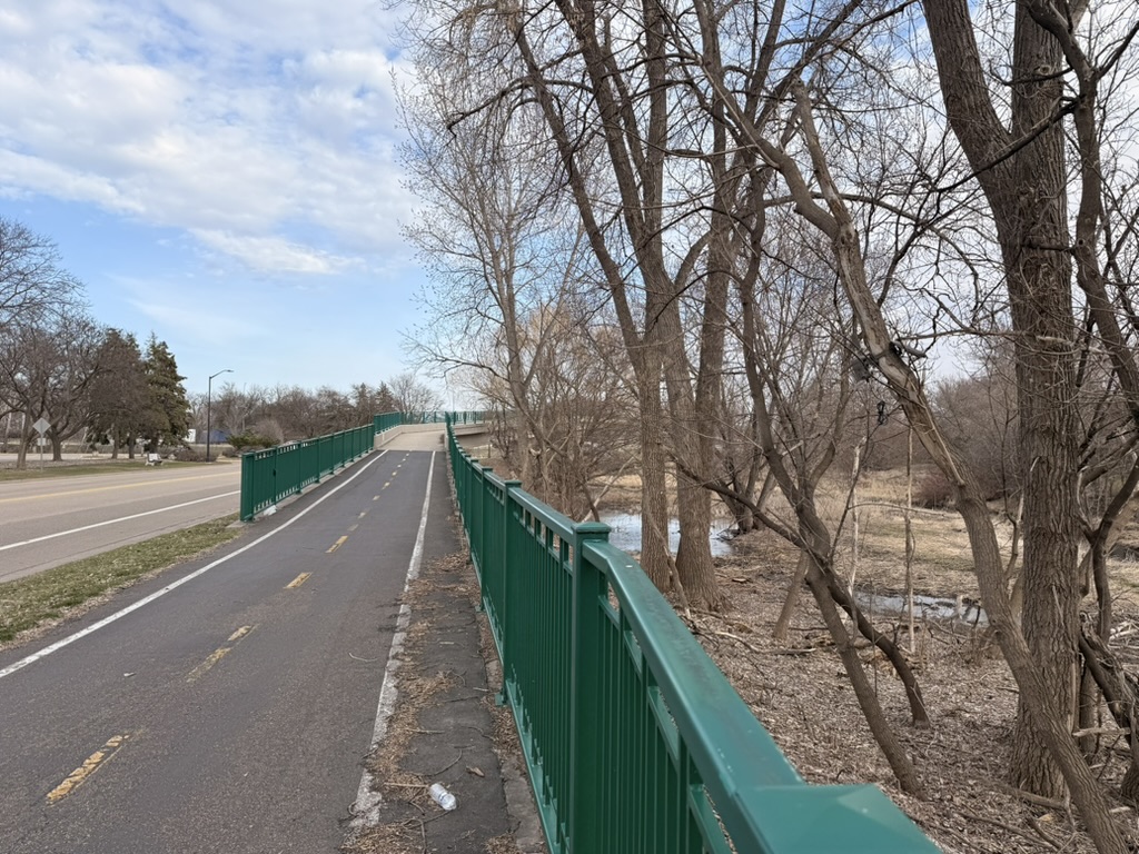 Bike path beside a road with the camera position obstructed by tree branches in the foreground