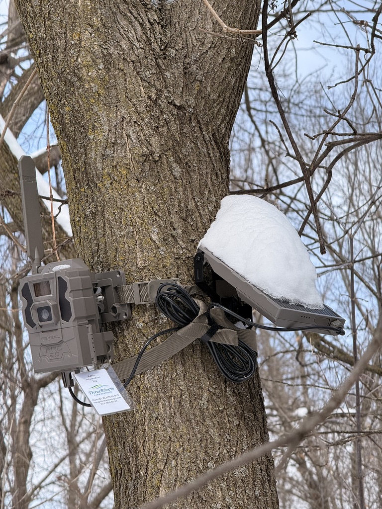 Solar panel on a trail camera installation completely covered by a cap of snow, blocking recharging