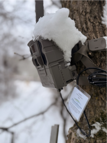 Waypoint Telemetry VisionAI One solar-powered AI trail counter
