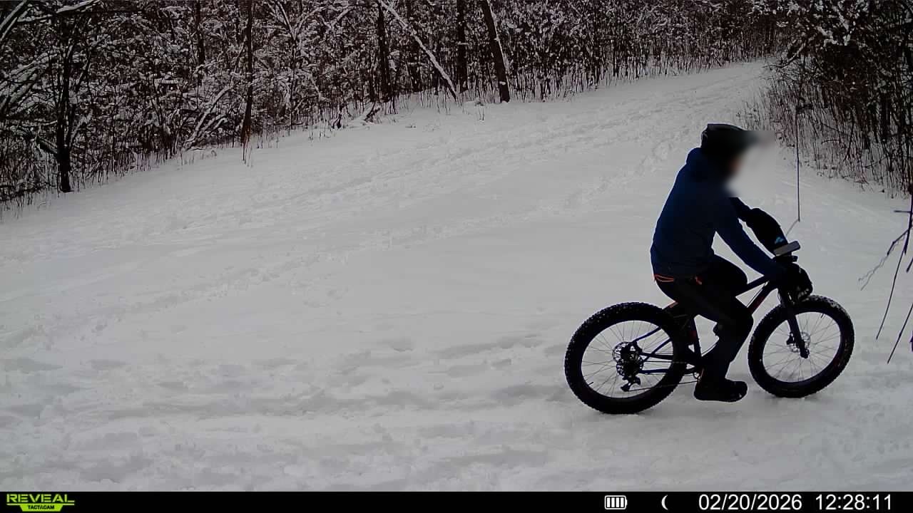 Environment 4: Full Day (Dawn, Day, Evening)