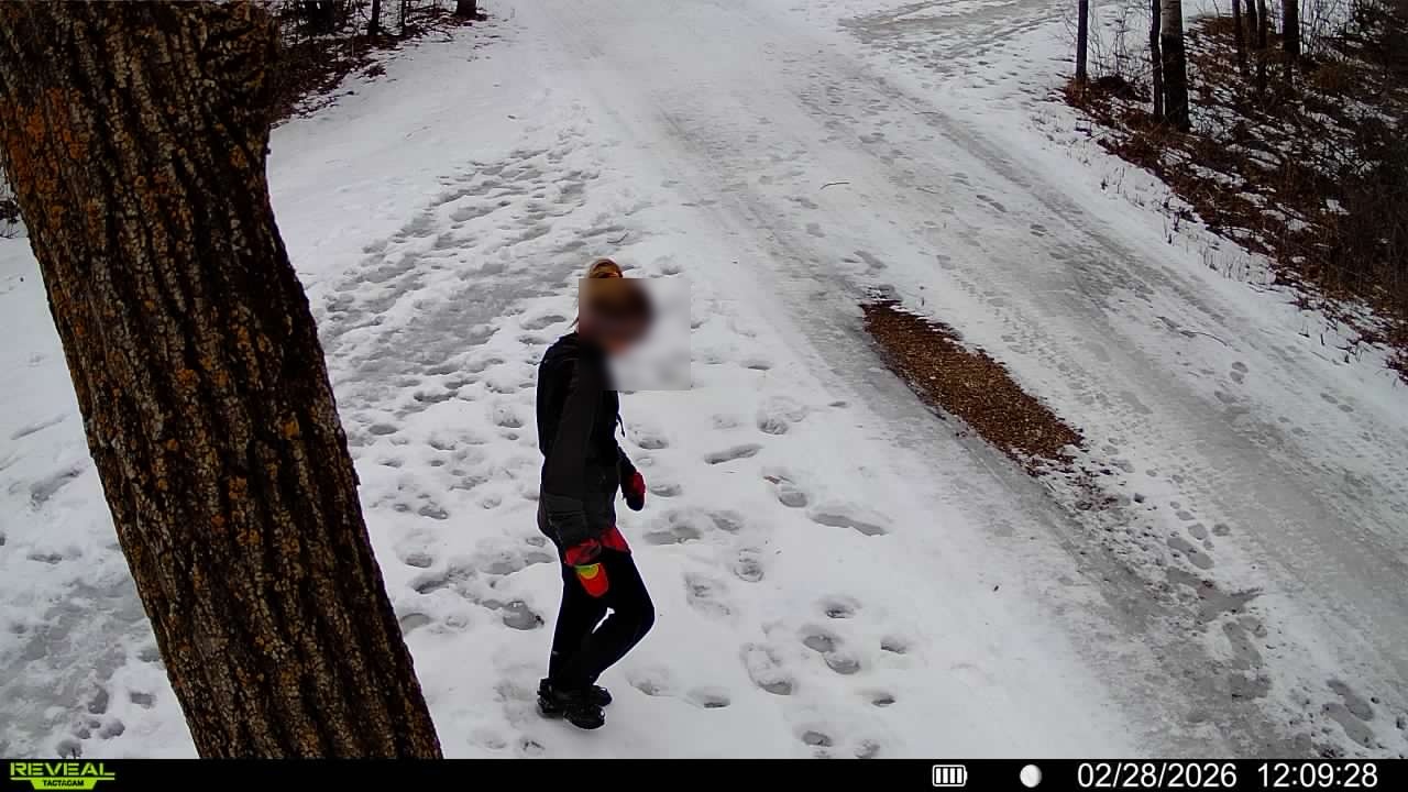 Environment 5: Full Day (Dawn, Day, Evening)