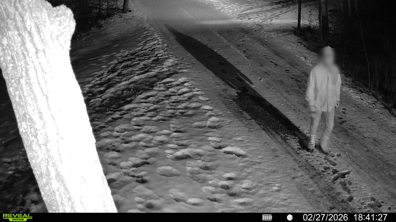 Same person entering the park