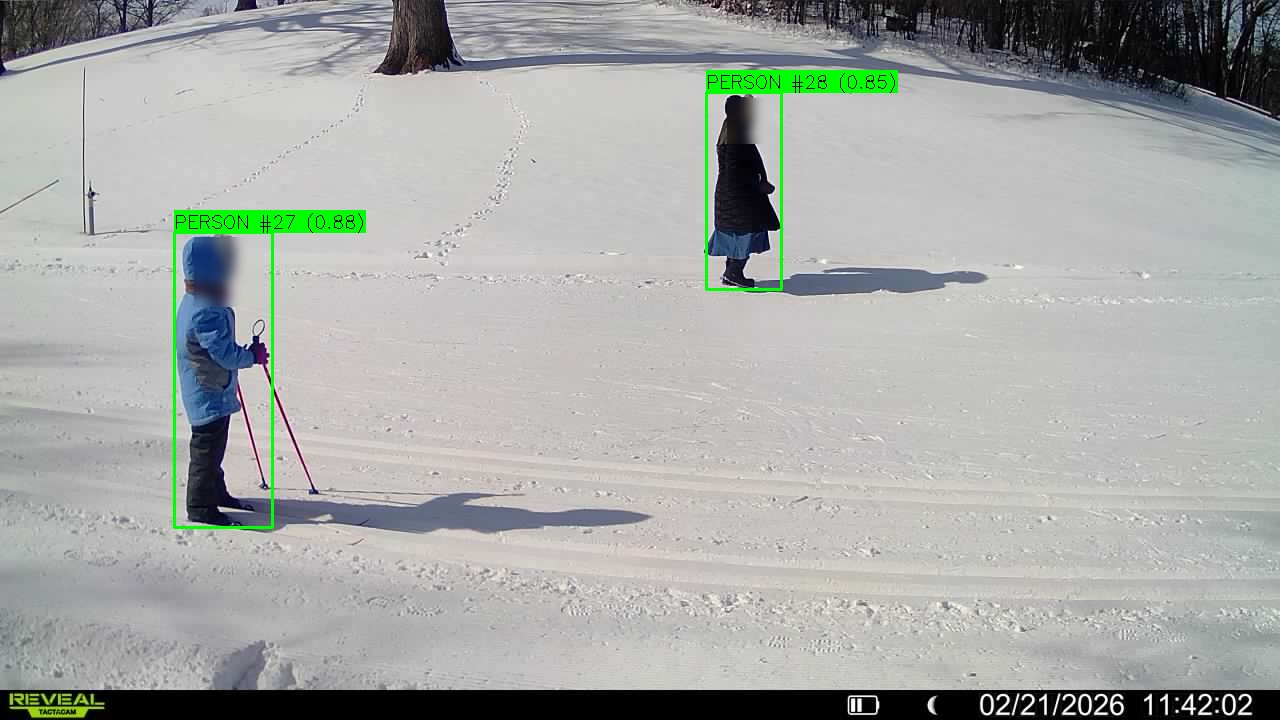 First frame showing unique individuals labeled