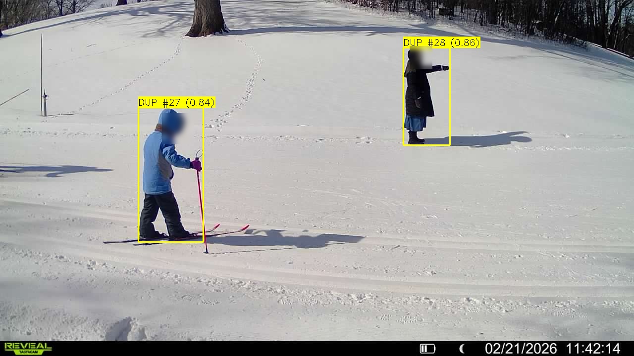 Second frame showing duplicates detected and filtered