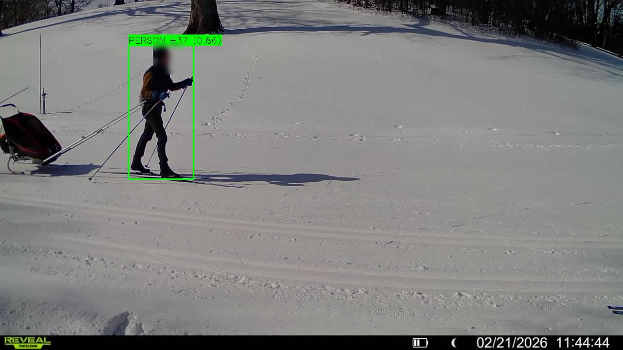 Sunny day scene with high visibility